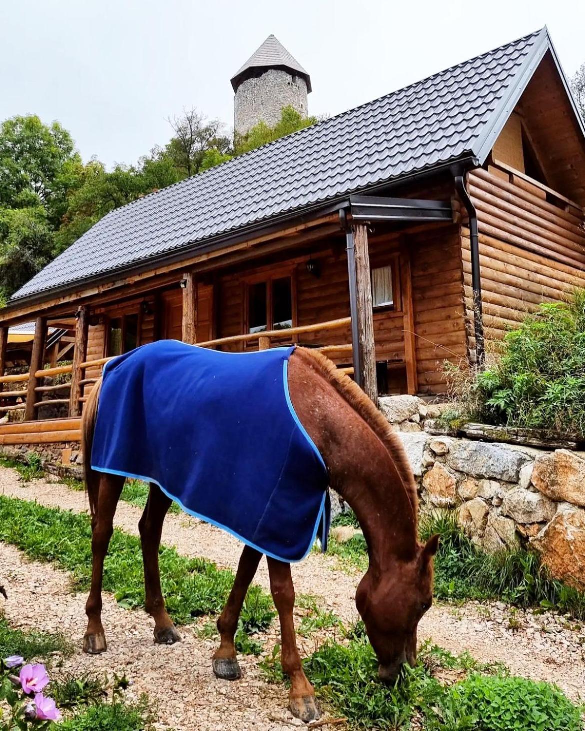 Koliba 30Svibnja Villa Perusic Luaran gambar
